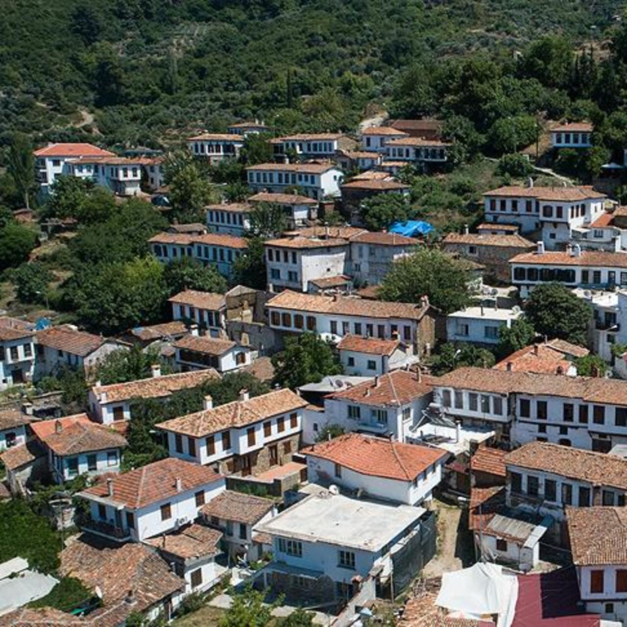 Şirince nerede?