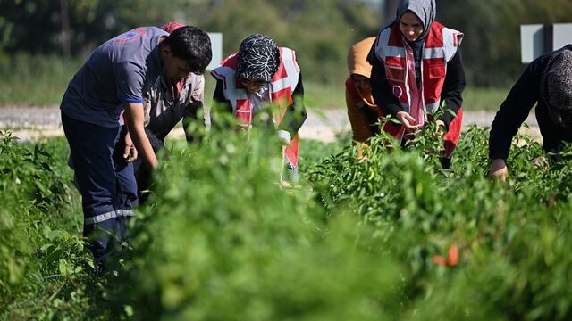 Düzce'de 200 dönüm atıl arazi tarıma kazandırıldı