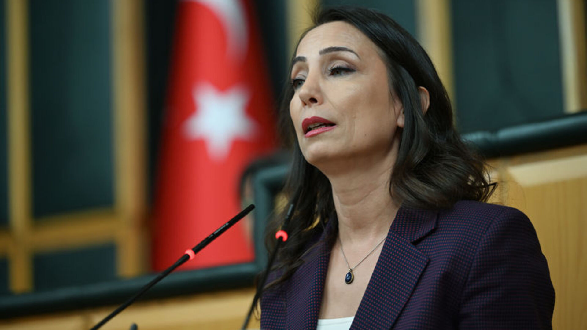 DEM Partili Hatimoğulları: Demokratik entegrasyon için yasaları yapmak lazım | Son dakika haberleri