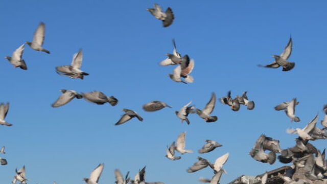 12 sene sonra tekrar "âkiller" toplantısında