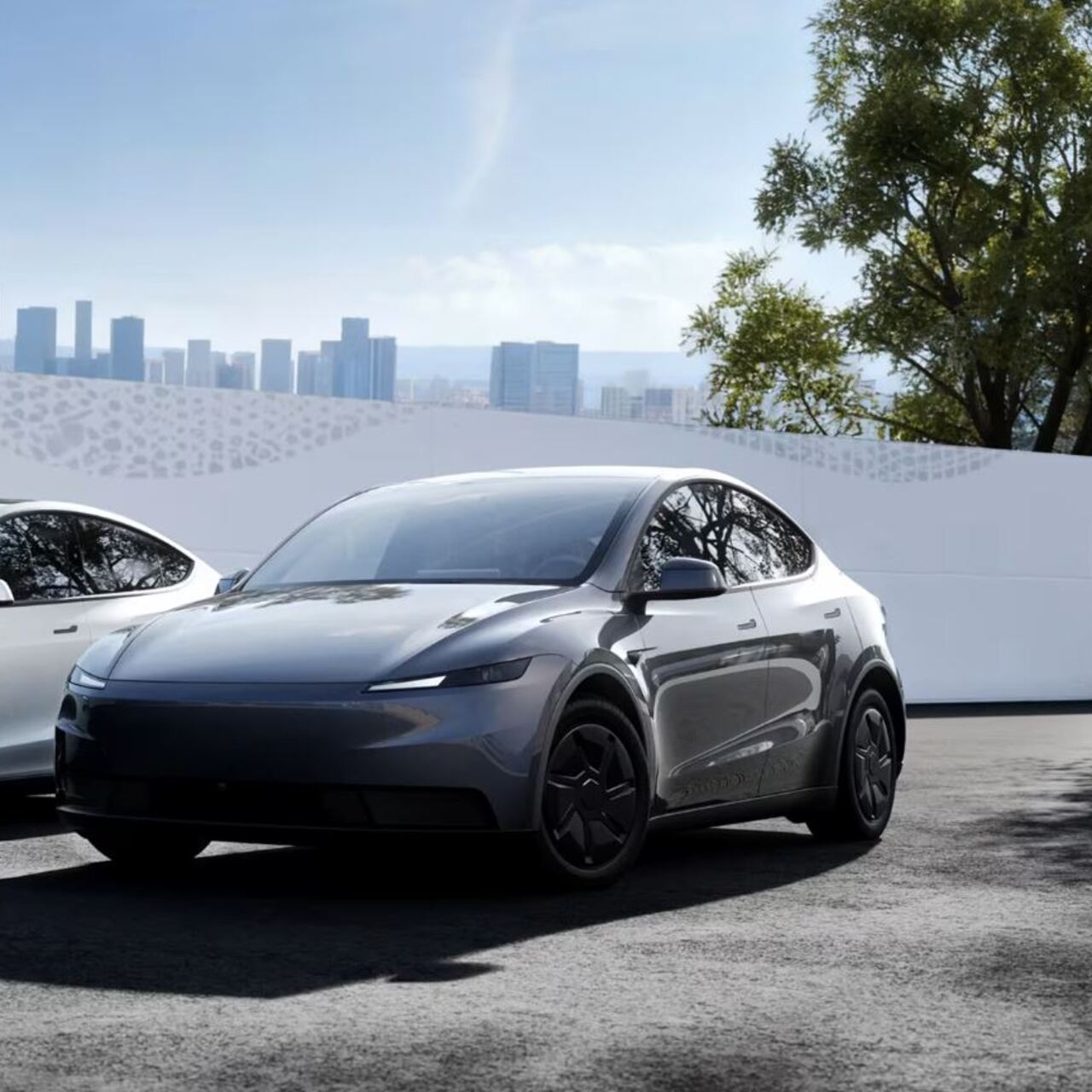 'Ucuz' Tesla ortaya çıktı