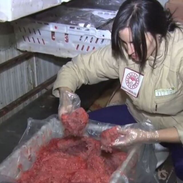 Ankara'da 16.7 ton hayvansal gıda imha edildi