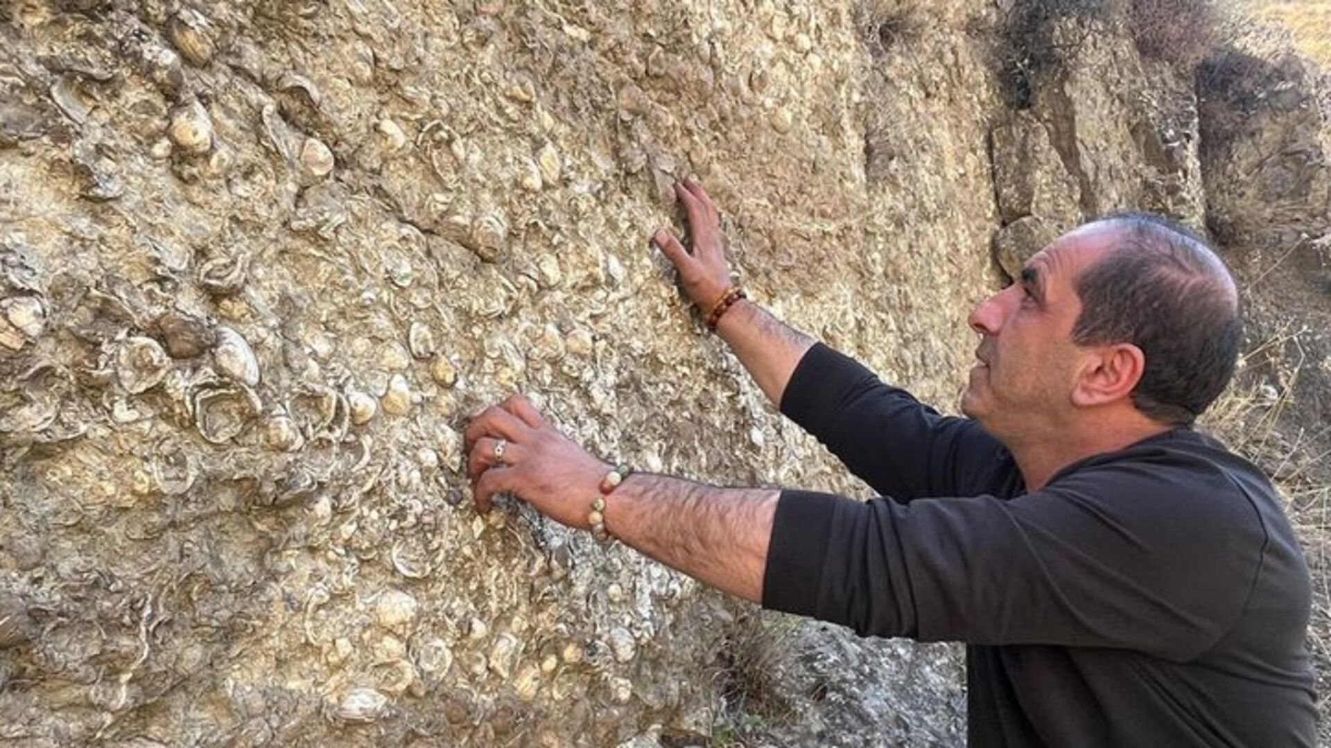 Erzurum'da 200 milyon yıllık deniz fosilleri bulundu