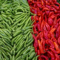 Türkiye'nin biber ihracatının yüzde 71'i Batı Akdeniz'den