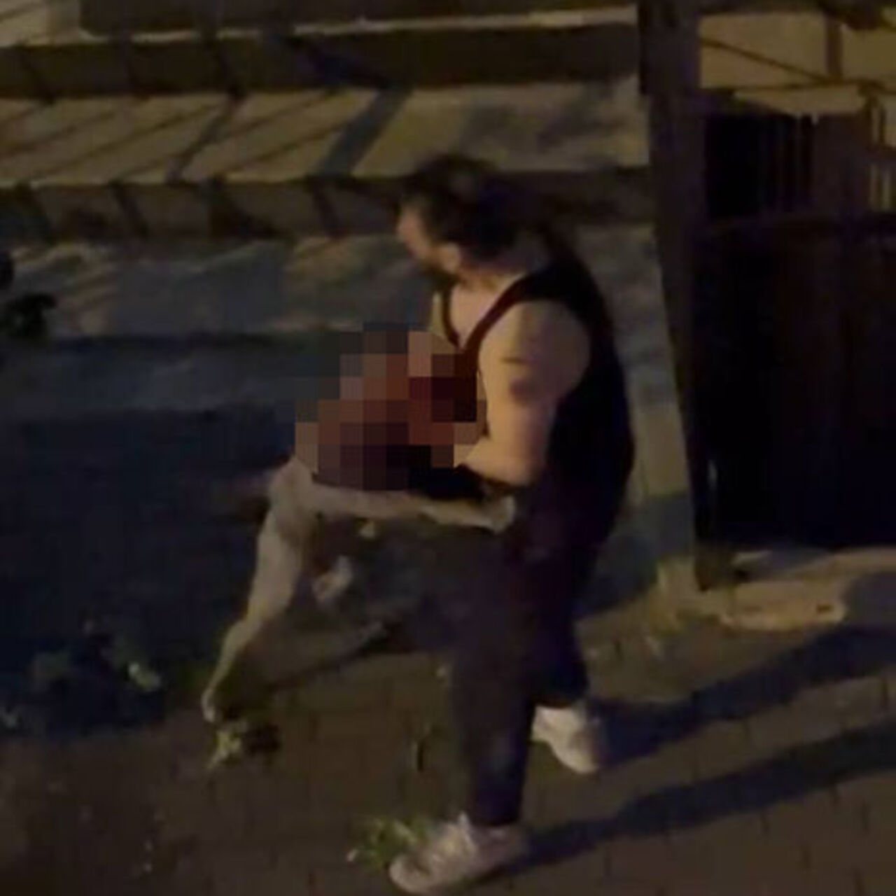 Pitbull cinsi köpek sahibine saldırdı