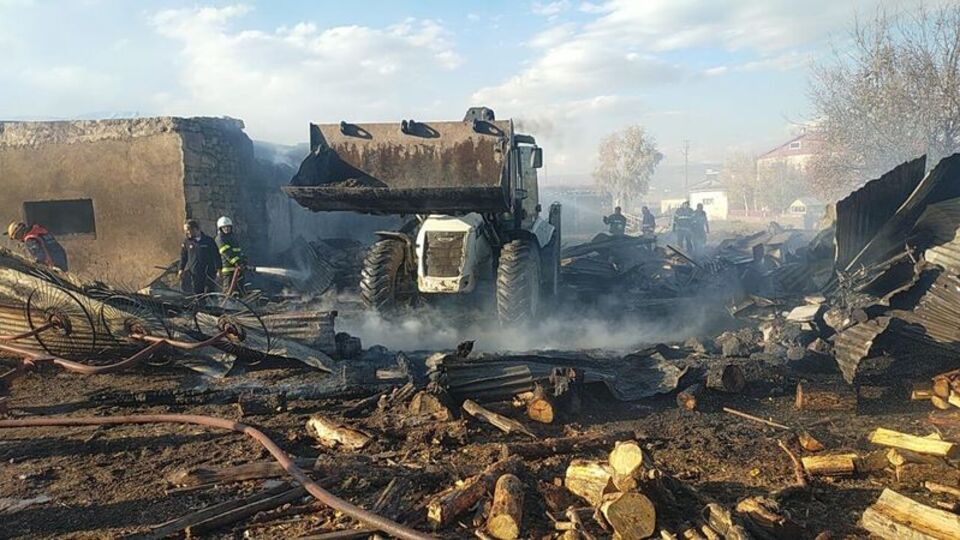 Ahırdaki yangında 23 hayvan öldü