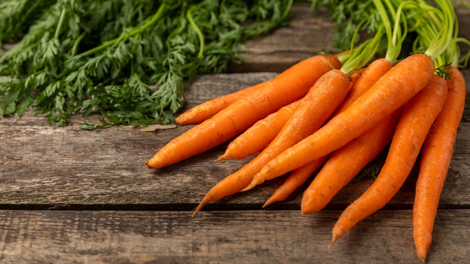 Göz sağlığımızın kahramanı mı?