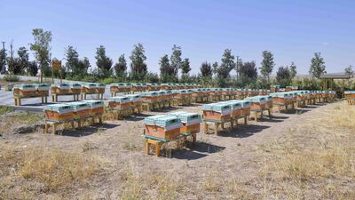 ABB aracılık projesini hayata geçirdi