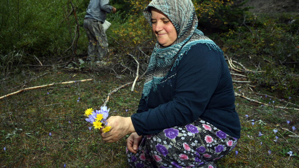 Yayladan dönüşün habercileri