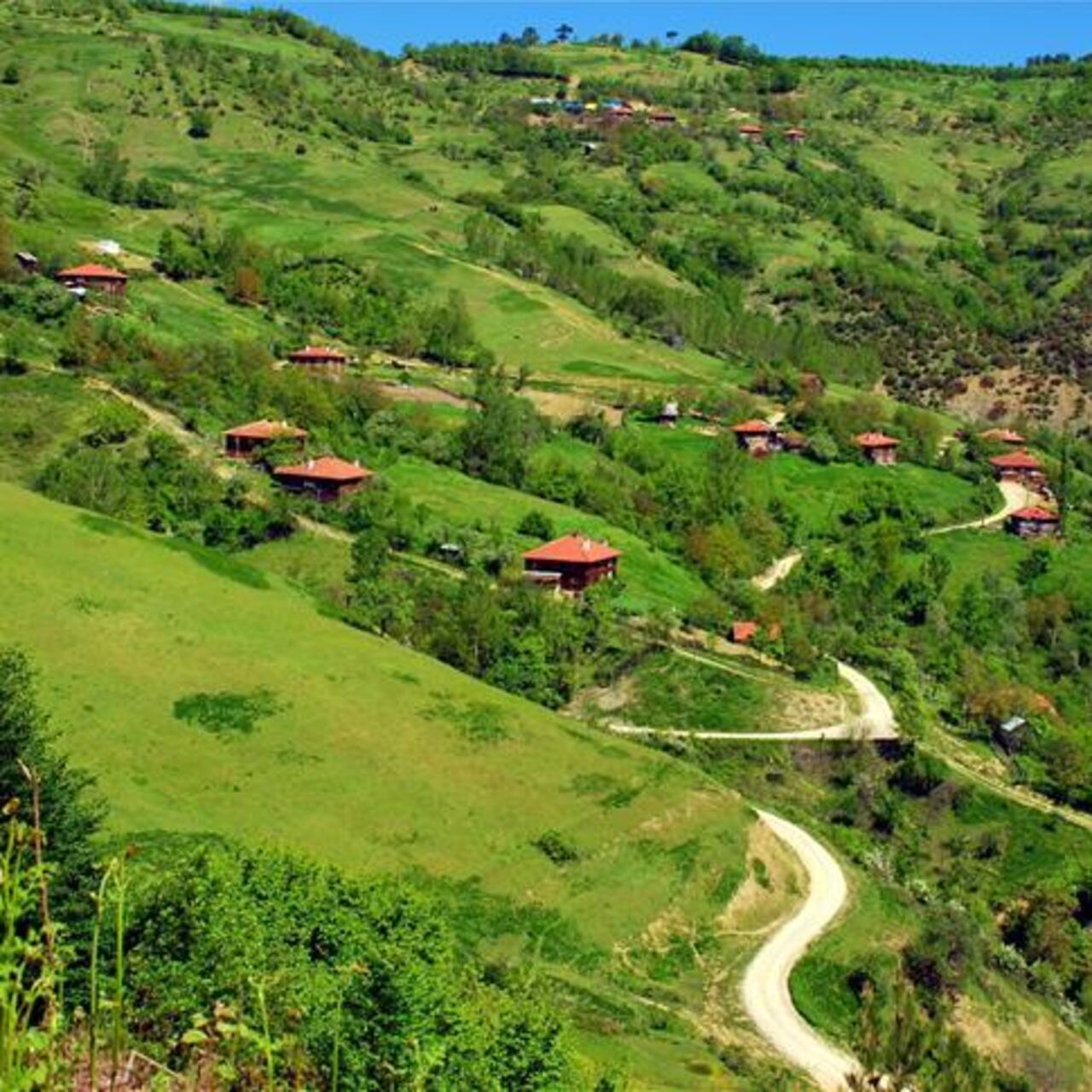 Yenice nerede?