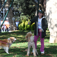 Köpekleriyle objektiflere yansıdı