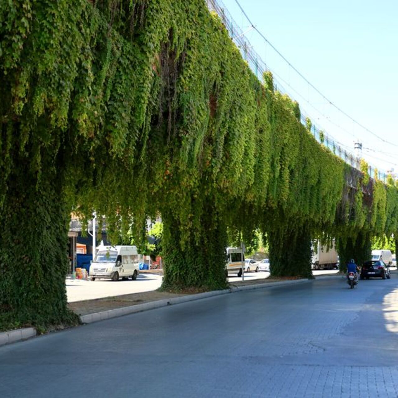 Metro yolunu kapladı, hayran bıraktı