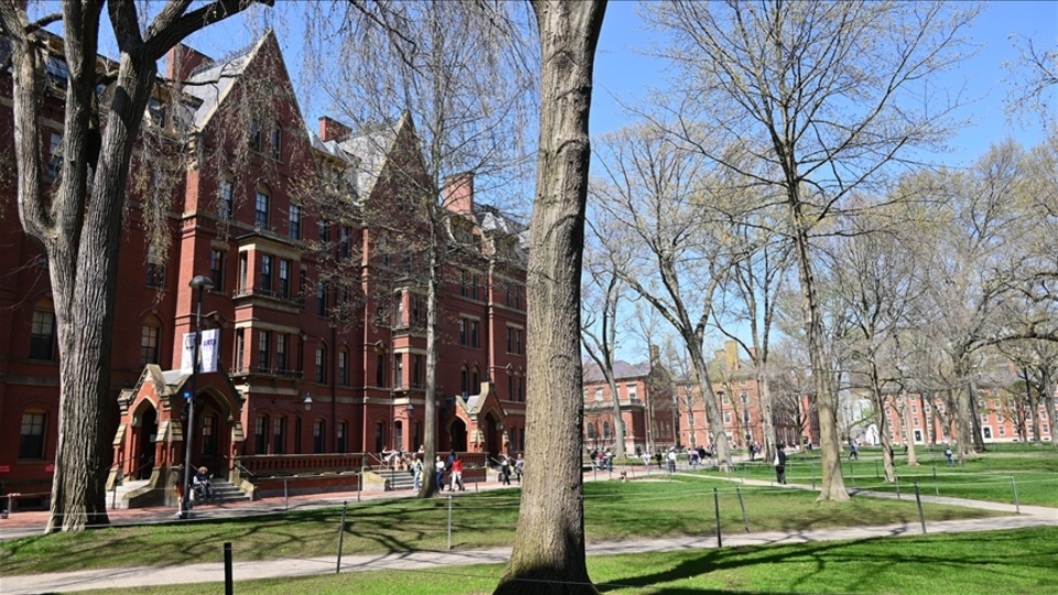 Harvard Üniversitesi nerede?
