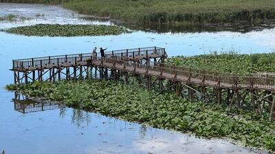Batı Karadeniz'in gizli hazinesi