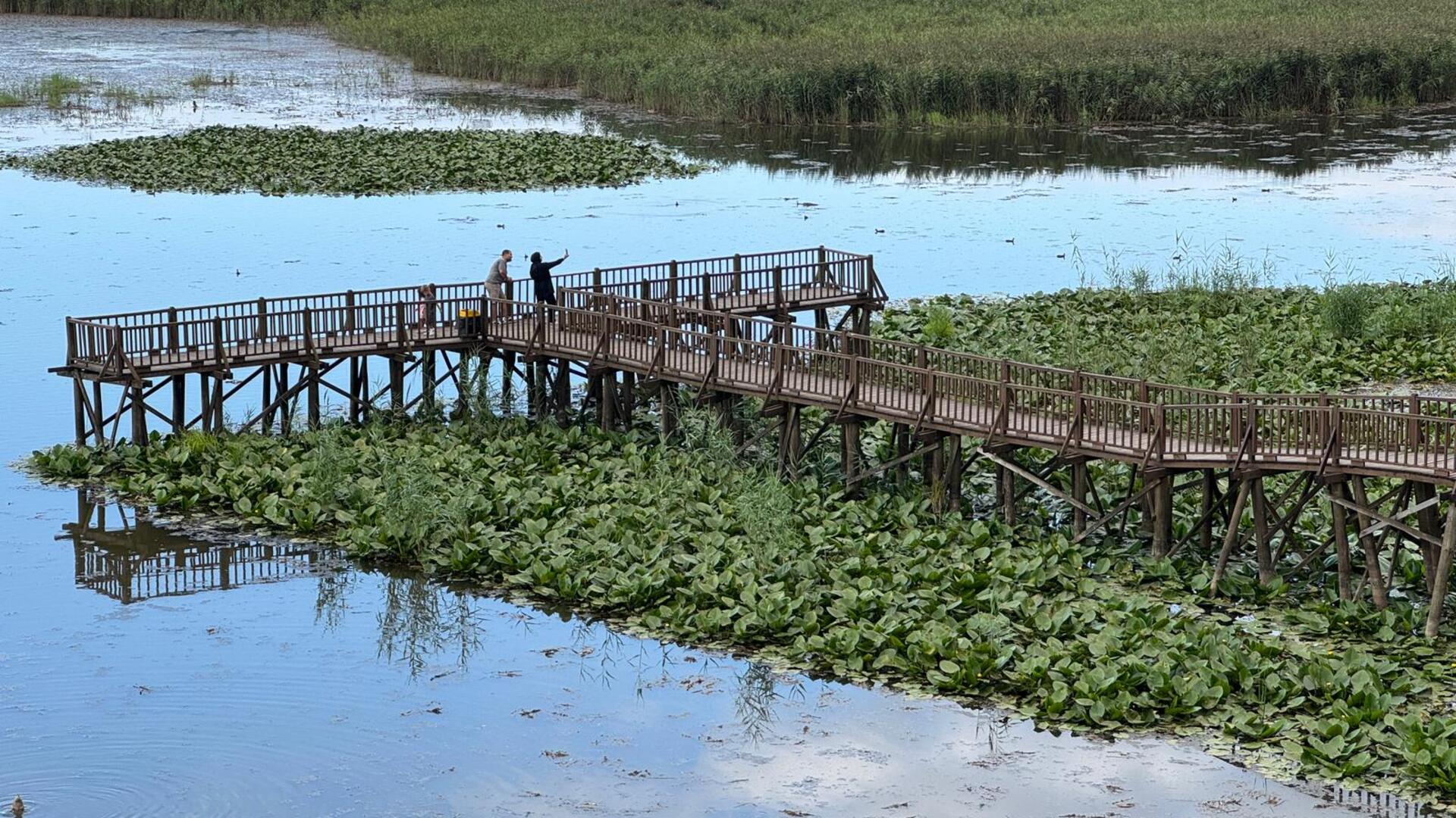 Düzce: Batı Karadeniz'in Saklı Kalmış Cennetini Keşfedin!