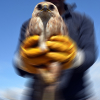 Kars'ta kaçak ava 1.1 milyon lira ceza