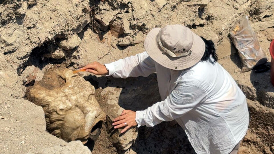 Avcılar'da sürpriz keşif!