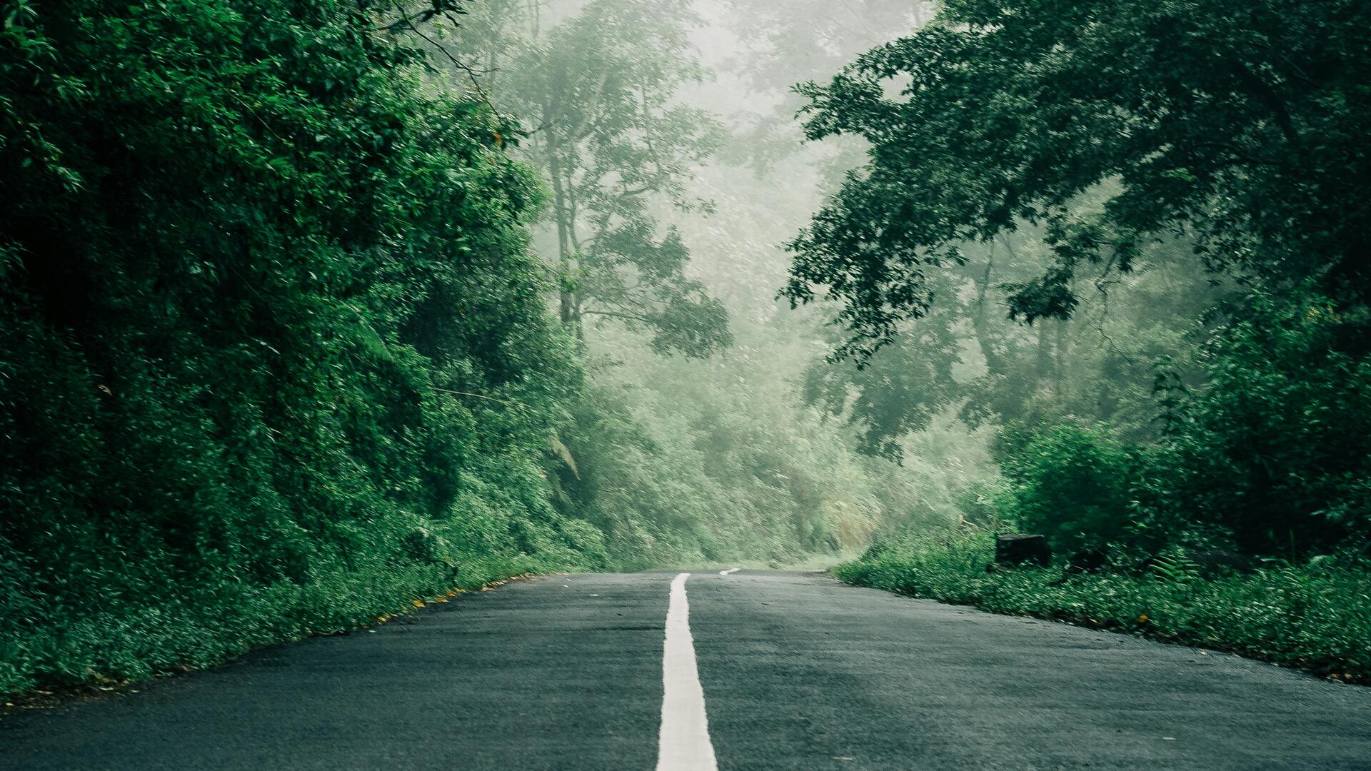 Hamburg - Kiel kaç kilometre? Hamburg - Kiel arası mesafe ne kadar, ne kadar sürede gidilir?