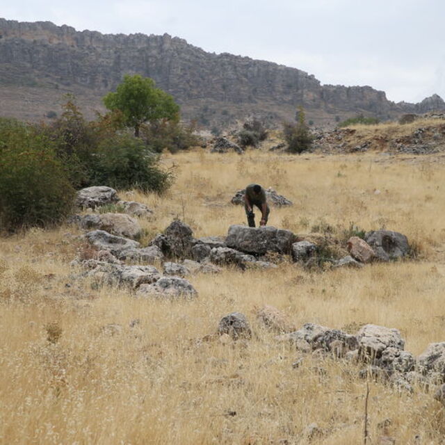 150 dönüme yayılmış! Adıyaman kırsalında bulundu