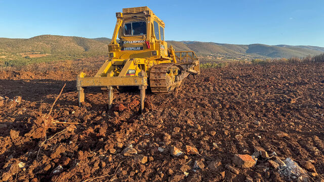 Denizli ve Uşak'ta 20 yılda 306 milyon fidan dikildi