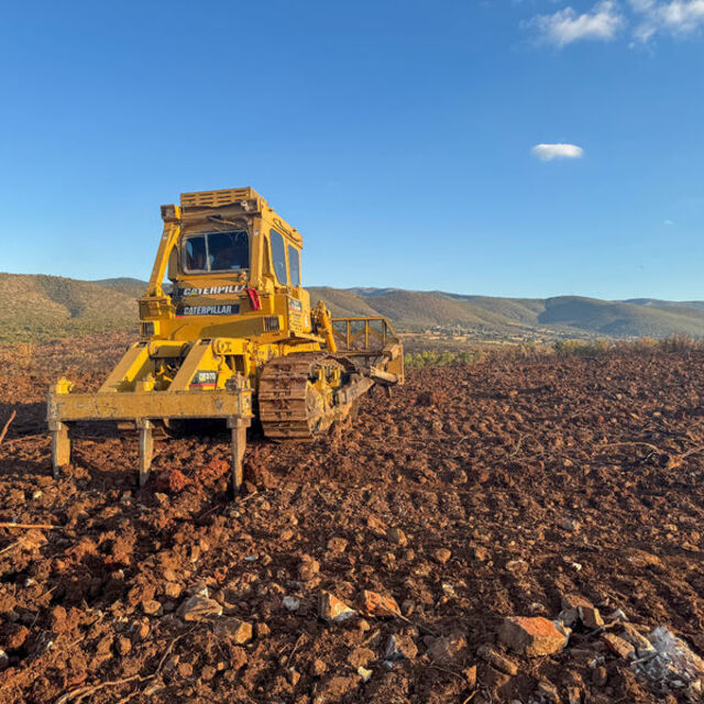 Denizli ve Uşak'ta 20 yılda 306 milyon fidan dikildi