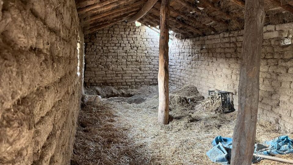 Ağabeyini öldürdüğü 14 yıl sonra ortaya çıktı!