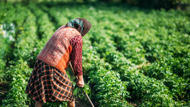 Çalışanlarımız yaşlandı
