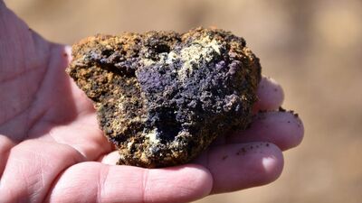 Nadir toprak elementlerinde ilk 5 hedefi