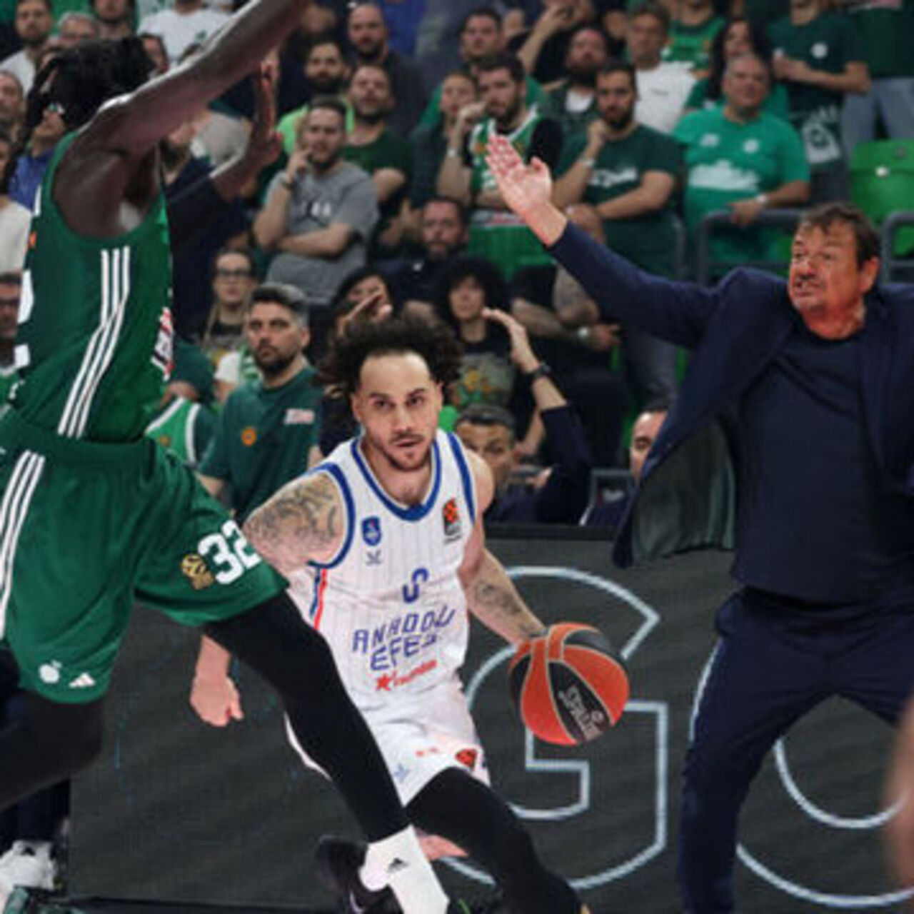 A. Efes- Panathinaikos maçı canlı izle