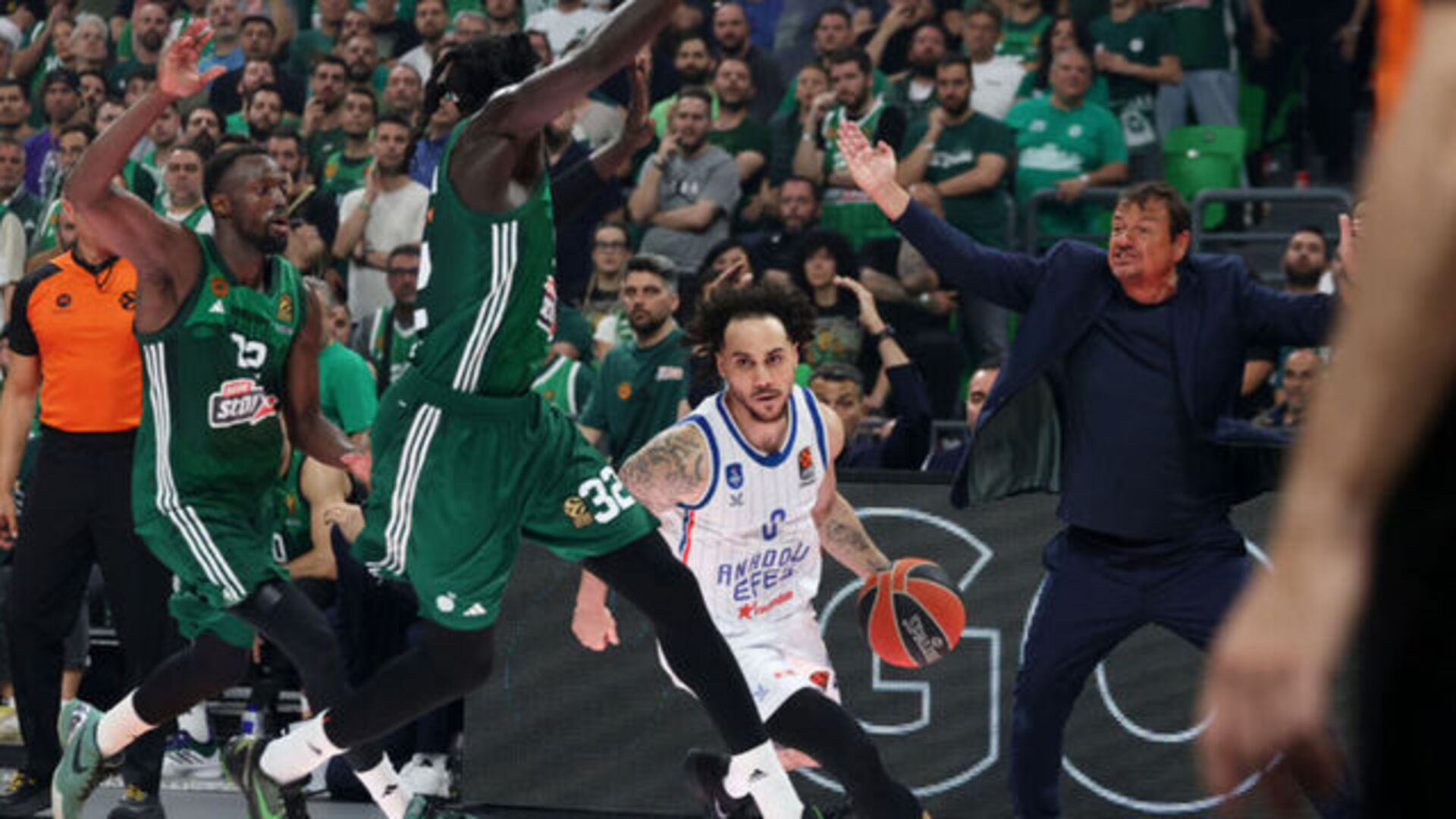 Anadolu Efes- Panathinaikos CANLI İZLE EKRANI: Anadolu Efes- Panathinaikos maçı anlık nereden izlenir, hangi kanalda, şifresiz mi?