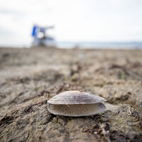 Tarihinin en düşük seviyesine geriledi