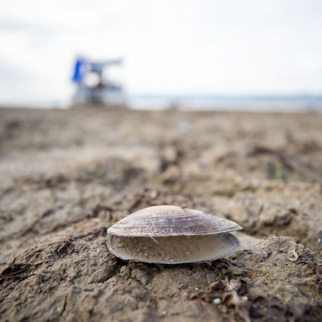 Tarihinin en düşük seviyesine geriledi