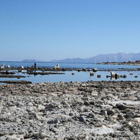 Van Gölü'ndeki su kaybı hızlandı!