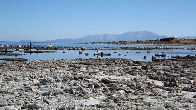 Van Gölü'ndeki su kaybı hızlandı!