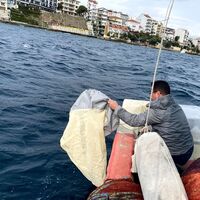 Marmara için Gelibolu'dan numune alındı