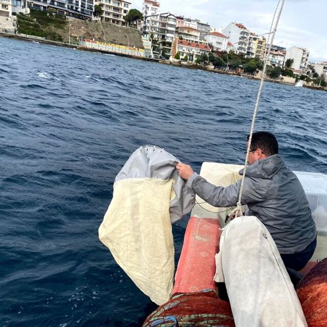 Marmara için Gelibolu'dan numune alındı