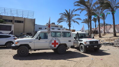 'Bazı Filistinlilerin naaşında kurşun izi görüldü'