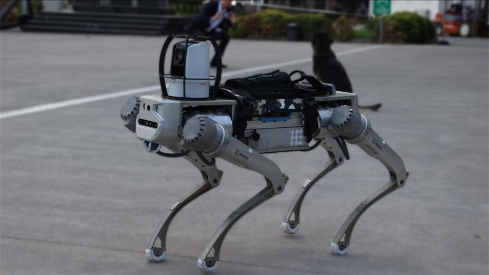 Milli robot köpek 2026'da göreve hazır