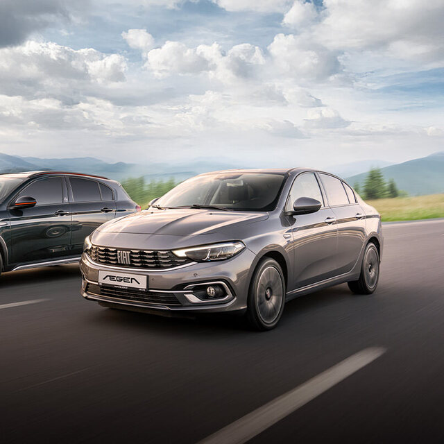 Egea'yı kurtarma operasyonu