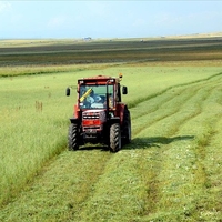 Tarımsal girdi fiyat endeksi ağustosta arttı