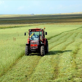 Tarımsal girdi fiyat endeksi ağustosta arttı