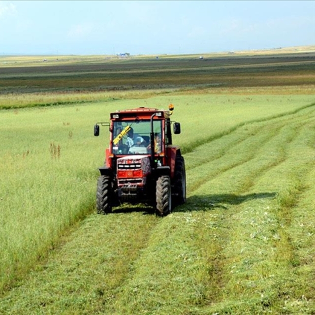 Tarımsal girdi fiyat endeksi ağustosta arttı