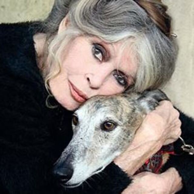 Taburcu oldu