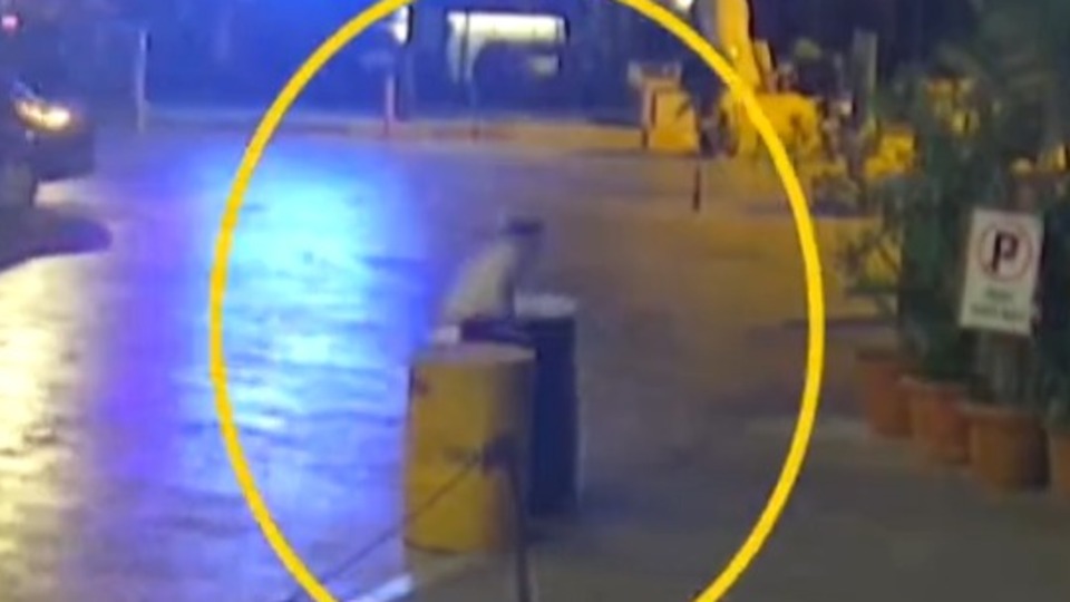 Kanlı gece: 2 ölü, 1 yaralı