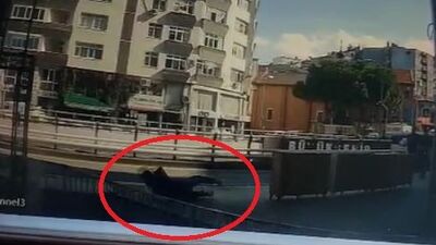 Yere düşünce yakayı ele verdi