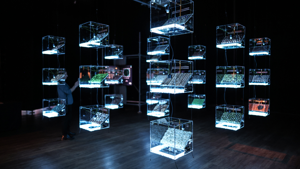 'Ars Electronica' Zorlu PSM'de başladı