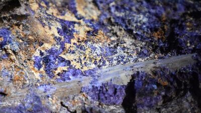 ABD-Çin ticaret savaşında 'nadir' cephe