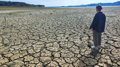 Seyhan Baraj Gölü alarm veriyor