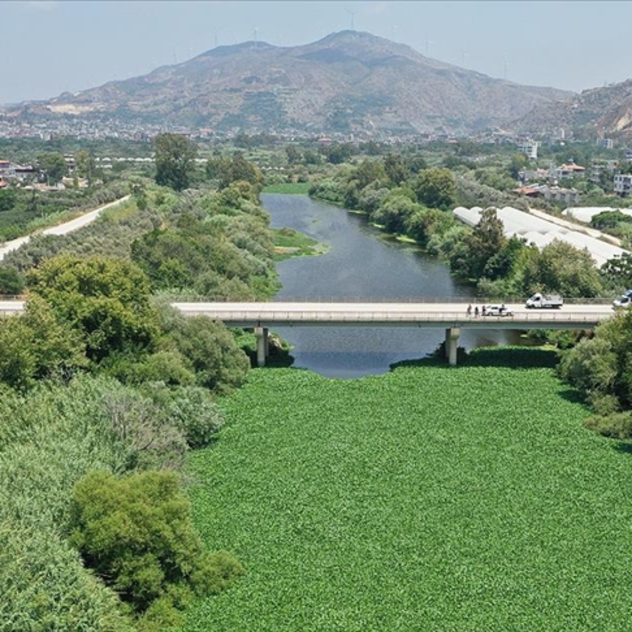 Asi Nehri nerede?