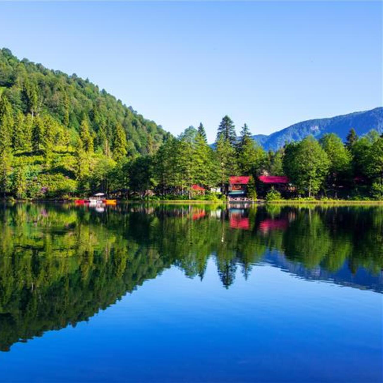 Artvin nerede?